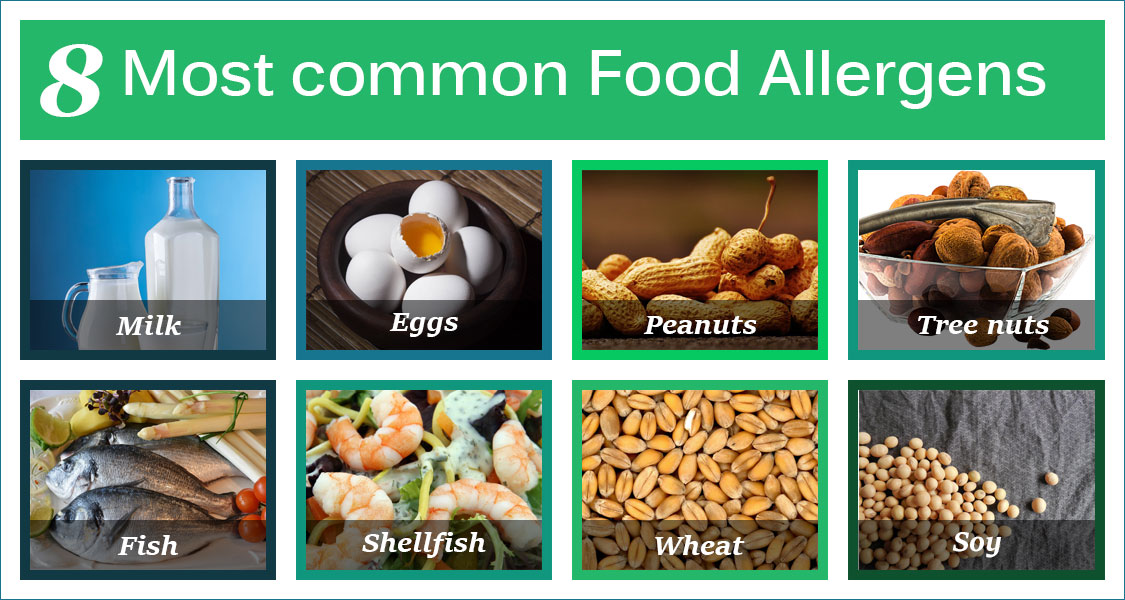 Common Food Allergens